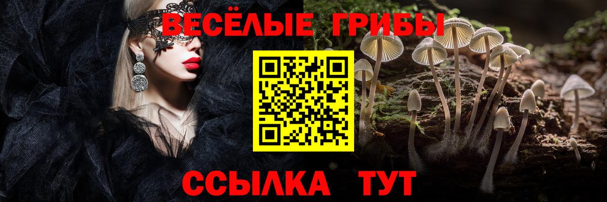 Галлюциногенные грибы прущие грибы  Вход с VPN  Псилоцибиновые грибы GOLDEN TEACHER  Маркс 